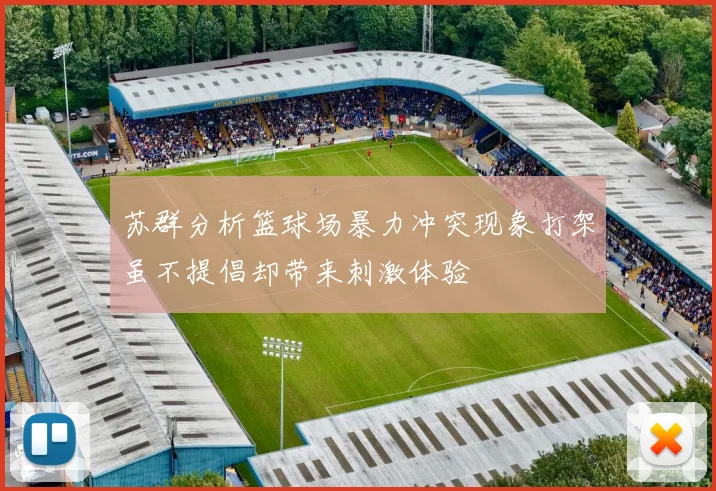 苏群分析篮球场暴力冲突现象打架虽不提倡却带来刺激体验