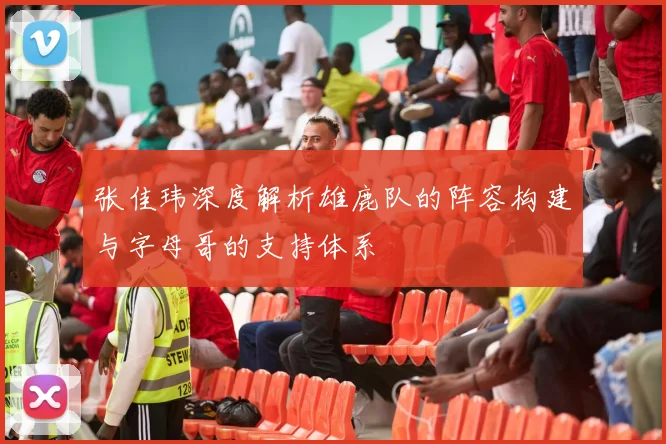 张佳玮深度解析雄鹿队的阵容构建与字母哥的支持体系