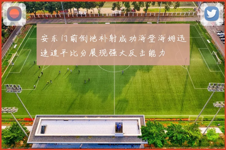 安东门前倒地补射成功海登海姆迅速追平比分展现强大反击能力