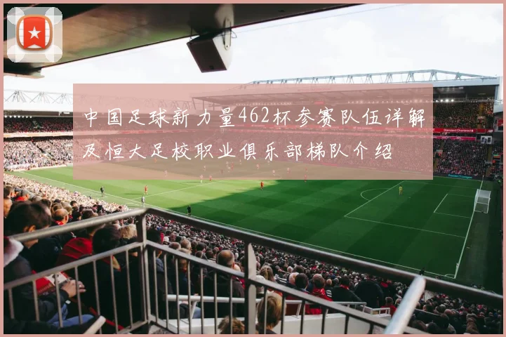 中国足球新力量462杯参赛队伍详解及恒大足校职业俱乐部梯队介绍