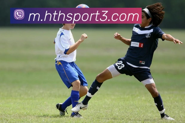 华体会体育平台生态图