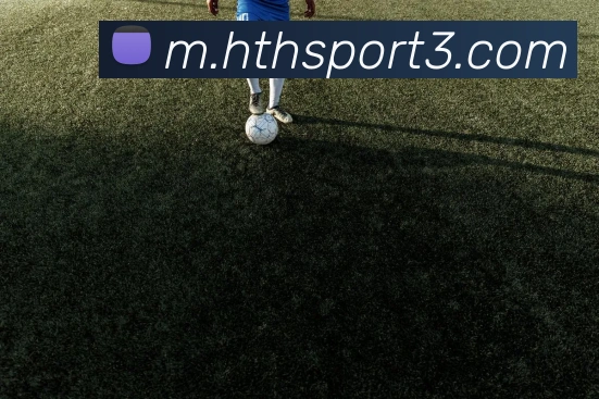 华体会体育全站App